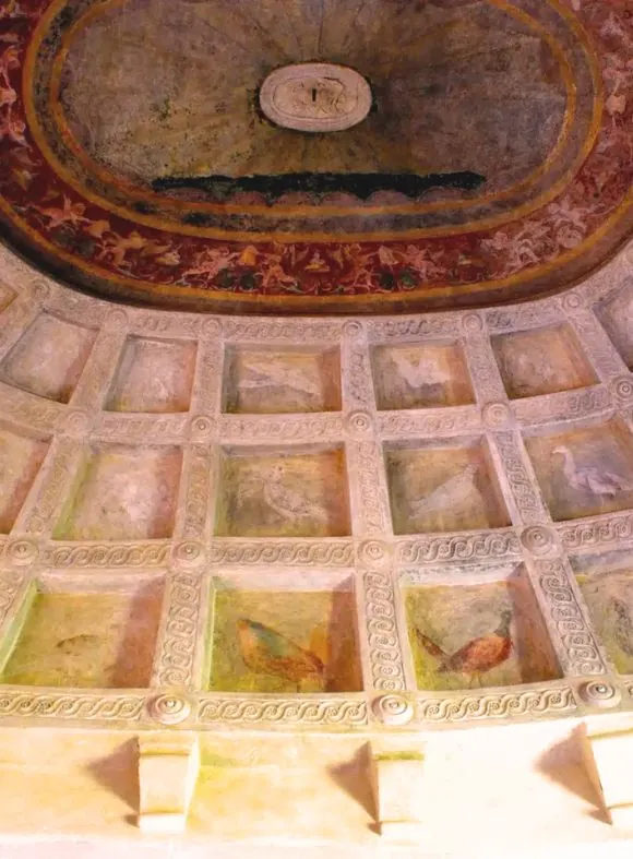 Camerino uccelli Palazzo Te Mantova